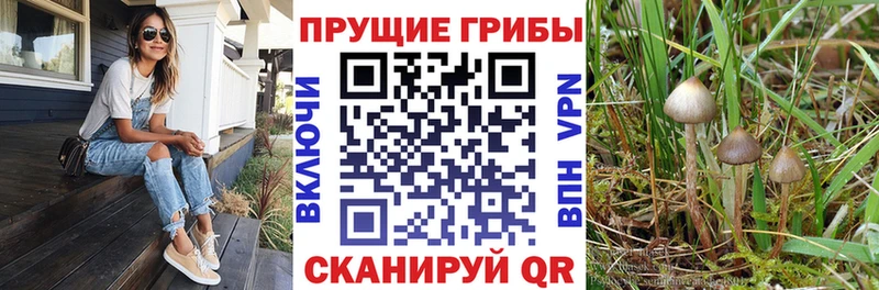 цены наркотик  Цивильск  Псилоцибиновые грибы мухоморы 